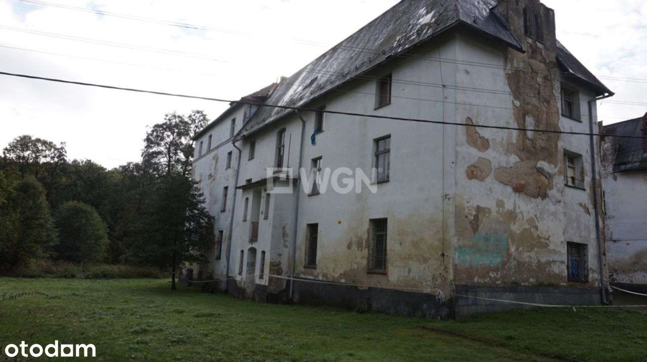 20ha Unikat -Pałac 3'500m2 z pięknym jeziorem 7ha - Pełny obrazek: 4/20