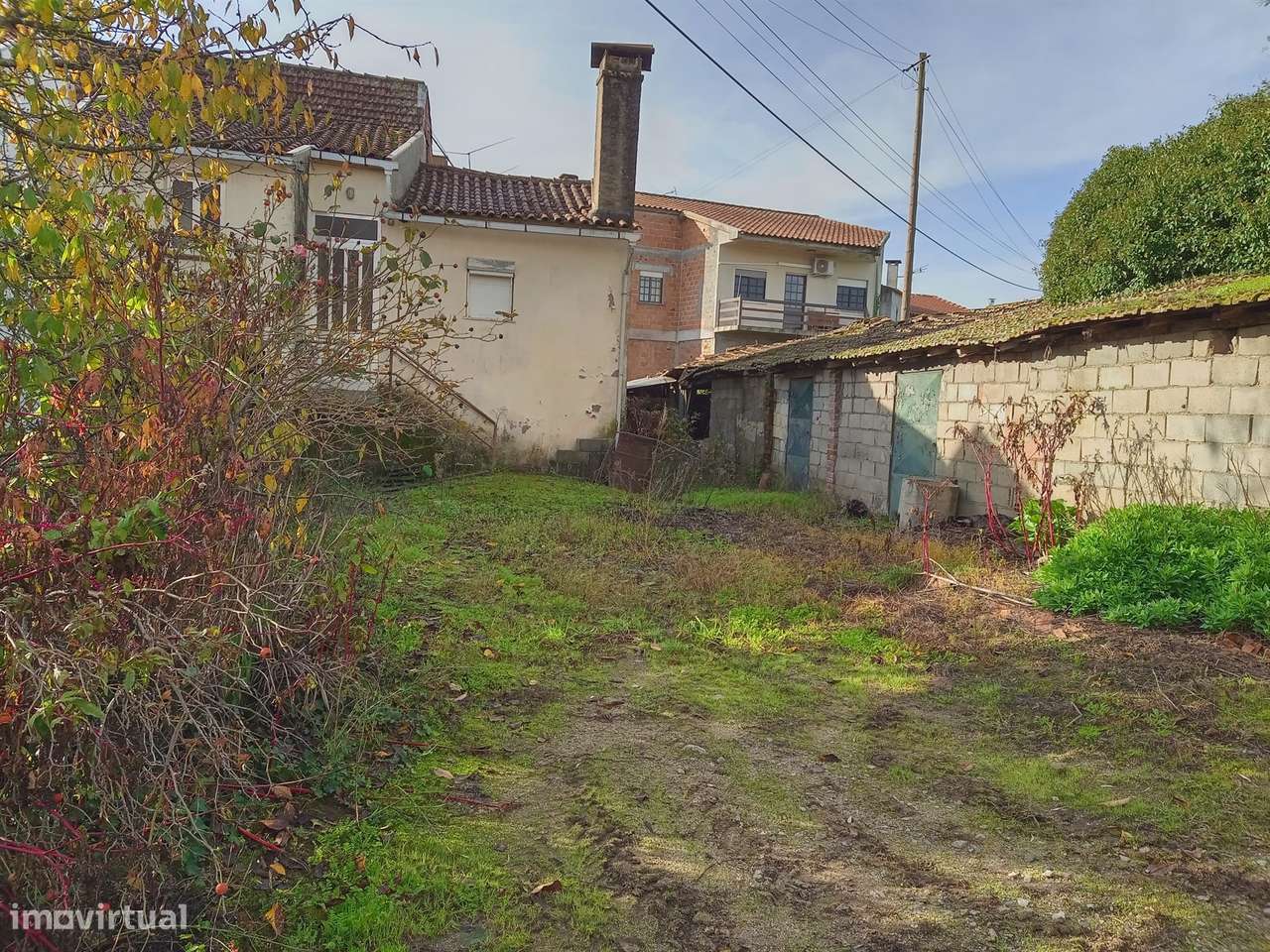 Moradia para recuperar em Rojão Grande, Santa Comba Dão - Grande imagem: 4/14