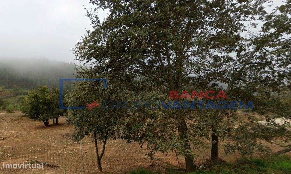 TERRENO RÚSTICO COM 1150 M2, SANTIAGO DO LITÉM - Grande imagem: 2/11