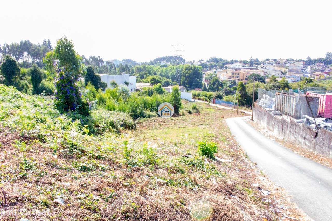 Terreno para Venda em São Paio de Oleiros – Oportunidade de Investimen - Grande imagem: 4/12