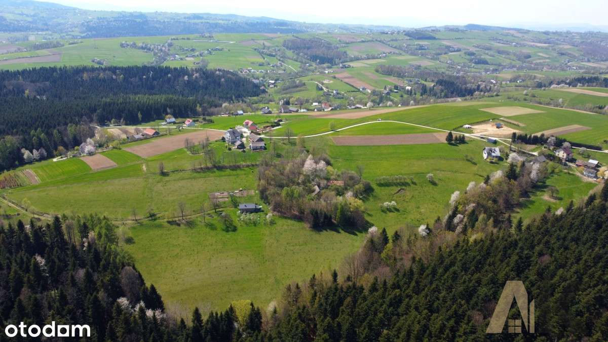 Gospodarstwo z zabudowaniami - Korzenna - Pełny obrazek: 1/11