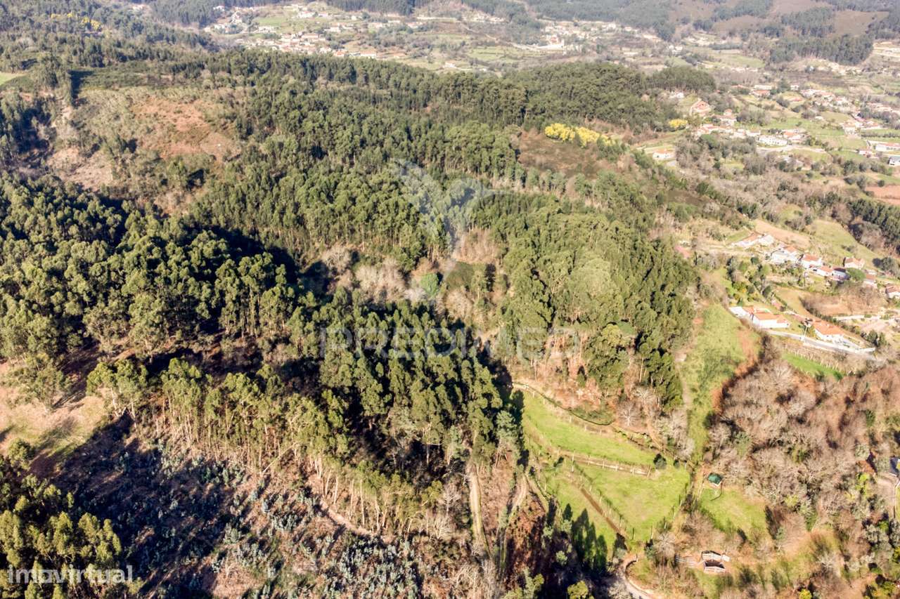 Terreno para venda em Nevogilde, Vila Verde – 19.000 m² - Grande imagem: 5/24