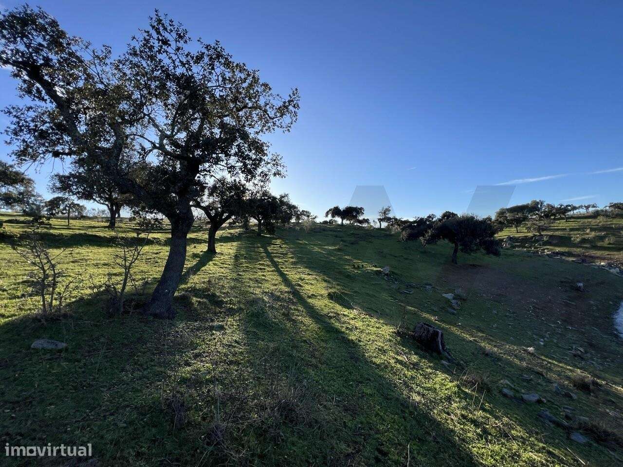 Herdade Exclusiva Junto à Barragem do Alqueva – Investimento Turístico-20