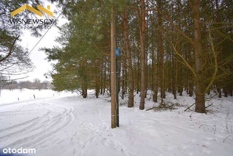 Działka budowlana 3002m2, uzbrojona z lasem-5