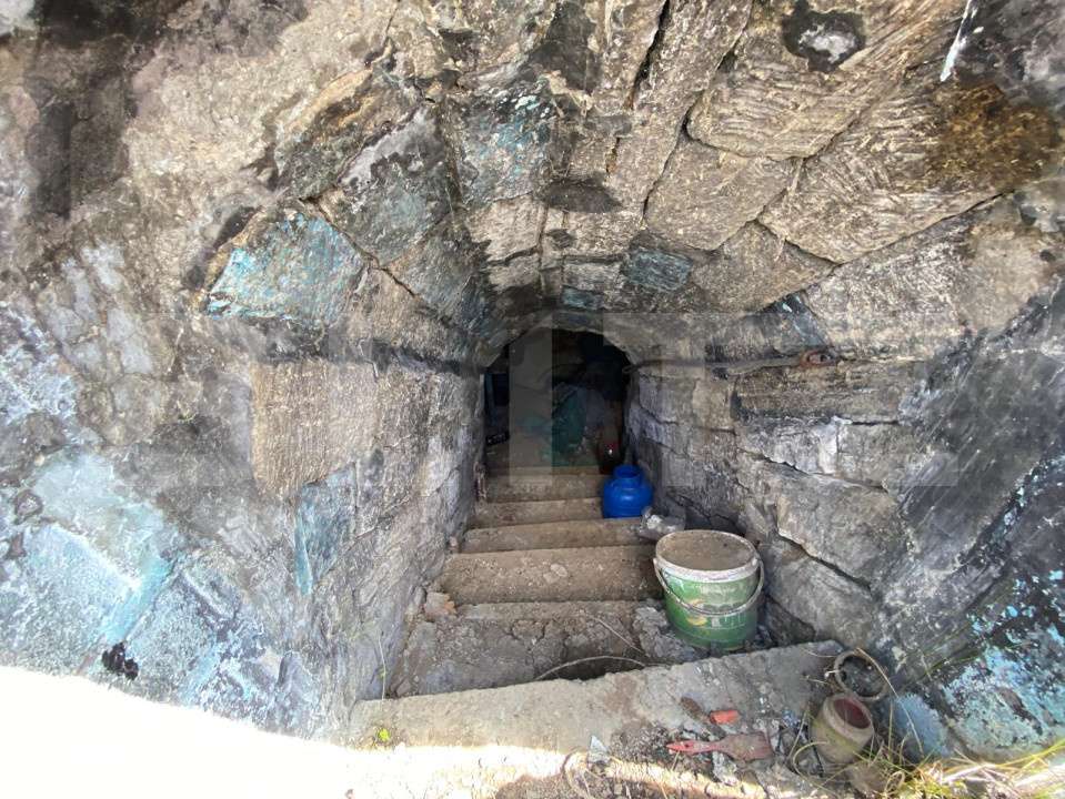 Casa batraneasca cu 6000 mp teren Schitul Duca - Imagine principală: 4/4