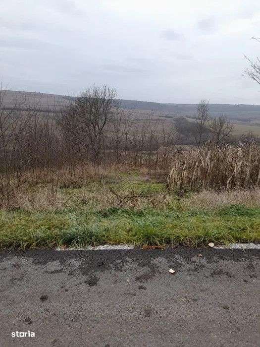 Teren intravilan cu CF, 1000 mp, sat Giula - Imagine principală: 1/2