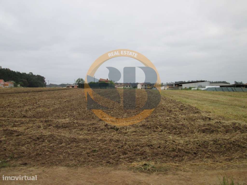 Terreno em Ovar - Grande imagem: 4/11