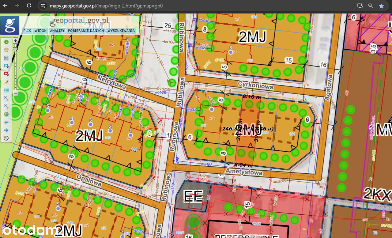 Działka, 244 m², Biedrusko-6