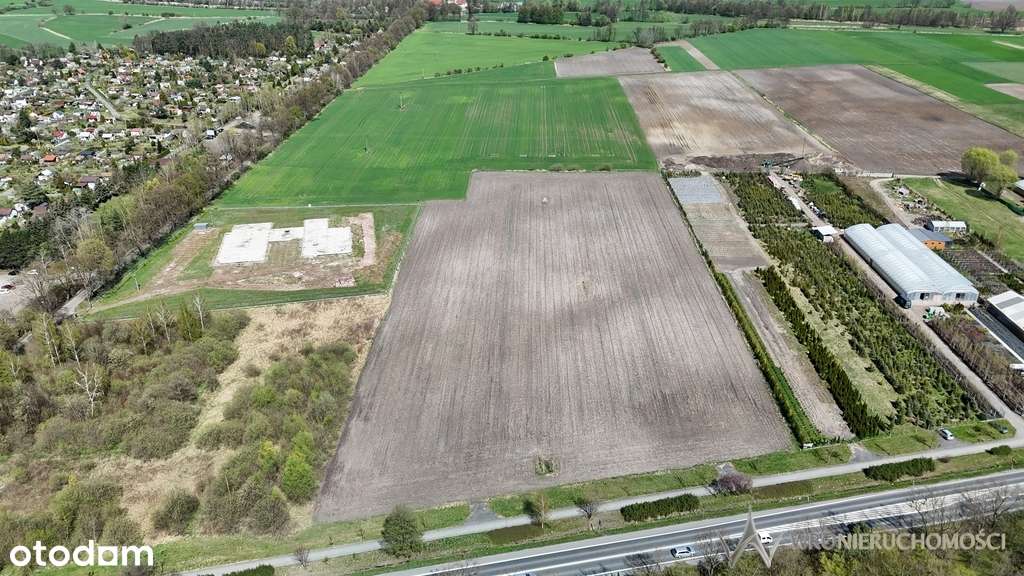 Działki inwestycyjne 3,0082 ha | Lędziny k. Opola - Pełny obrazek: 2/3