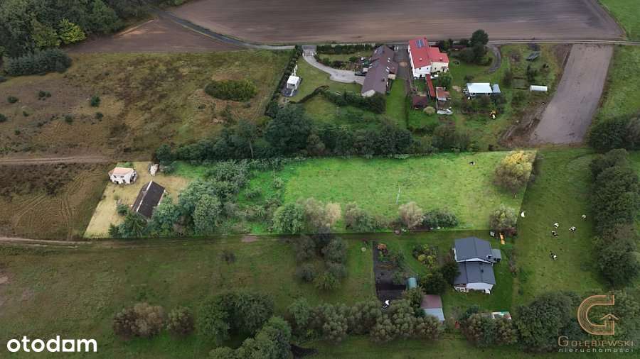 Duża działka z zabudowaniami - Małe Łunawy! - Pełny obrazek: 4/20