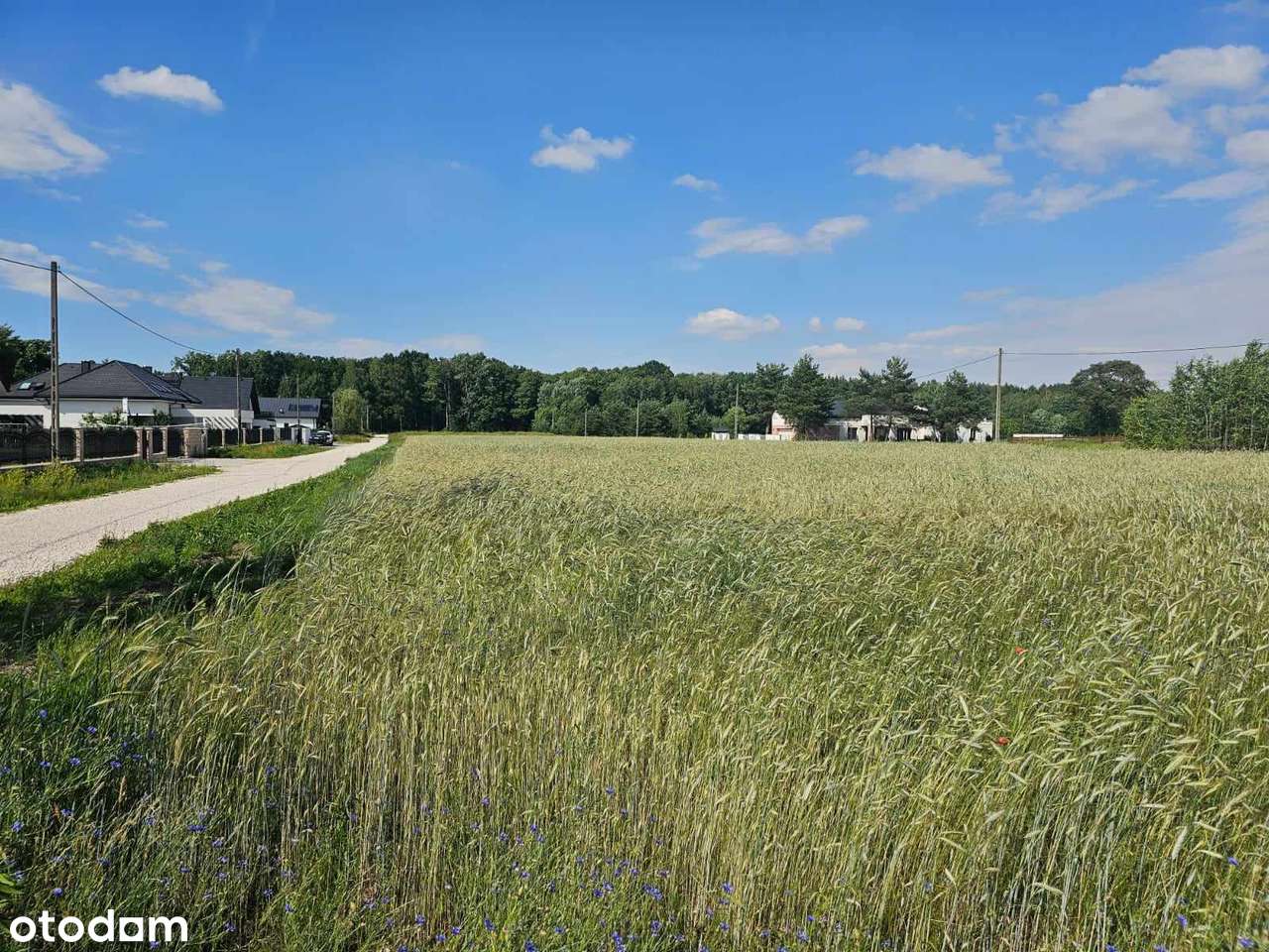 Działka budowlana 1000 m² Wilcza Góra, gm. Lesznowola, ul. Jasna!!! - Pełny obrazek: 4/8