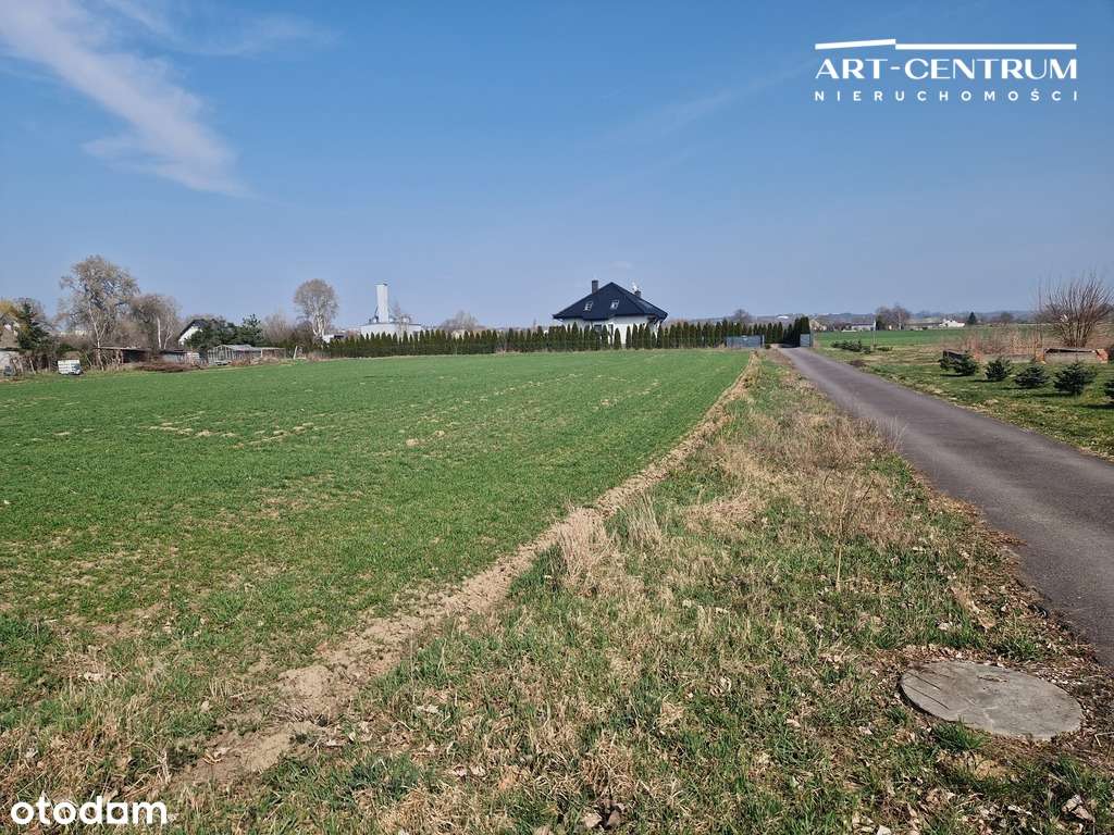 Działka rolno-budowlana pod Świeciem - Pełny obrazek: 4/9
