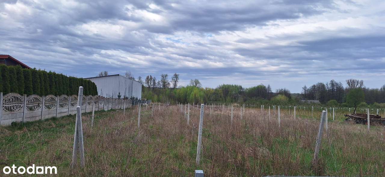 Dom z Działką - Chruślina Kolonia , gmina Józefów n/ Wisłą-3