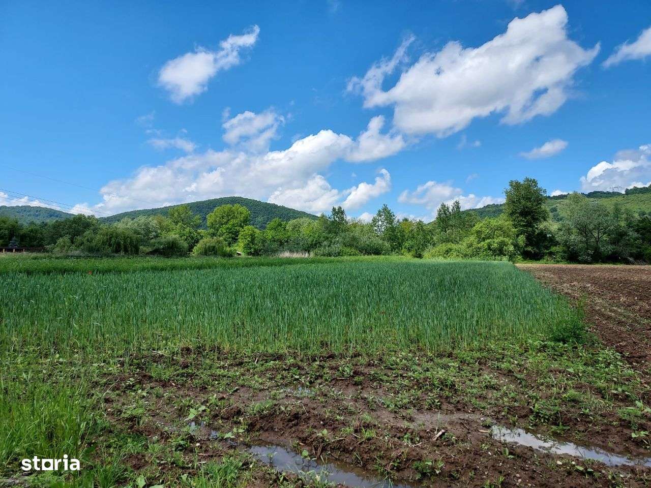 Teren UNIC Intravilan 2170 mp FS 17,5 mp Mintia Sat la 7 min de Deva - Imagine principală: 5/10