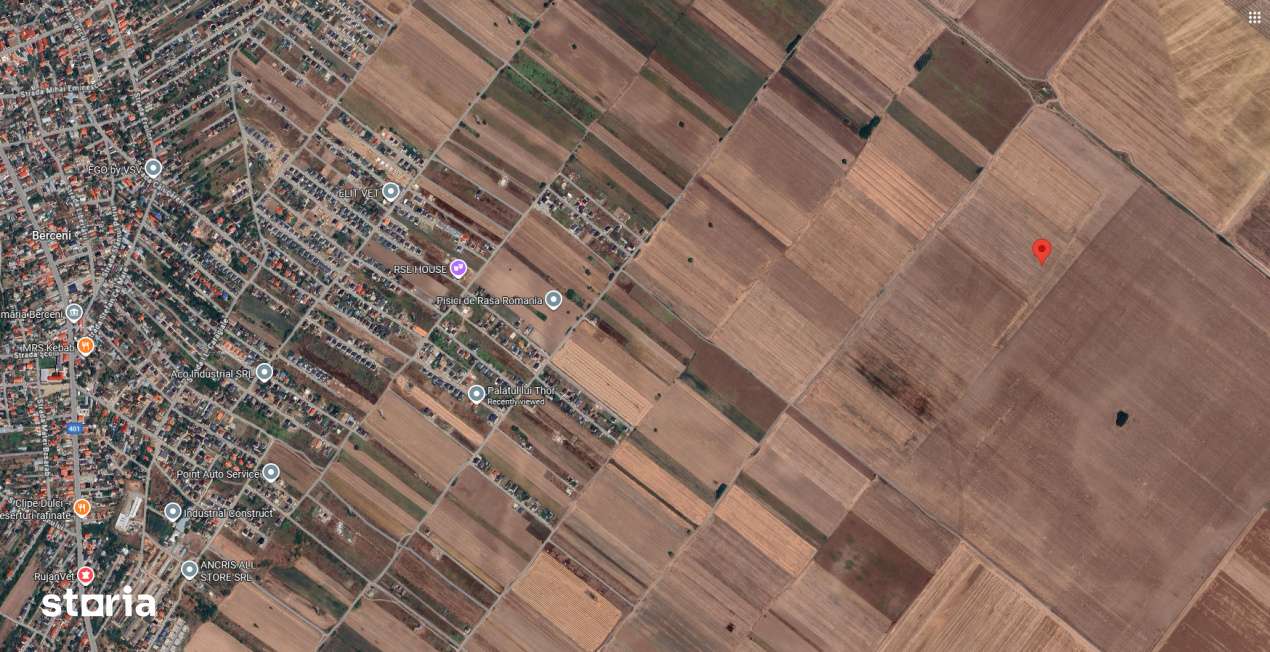 Teren Extravilan In Rate Primaverii Com. Berceni | 10.000mp | #EG51 - Imagine principală: 2/4