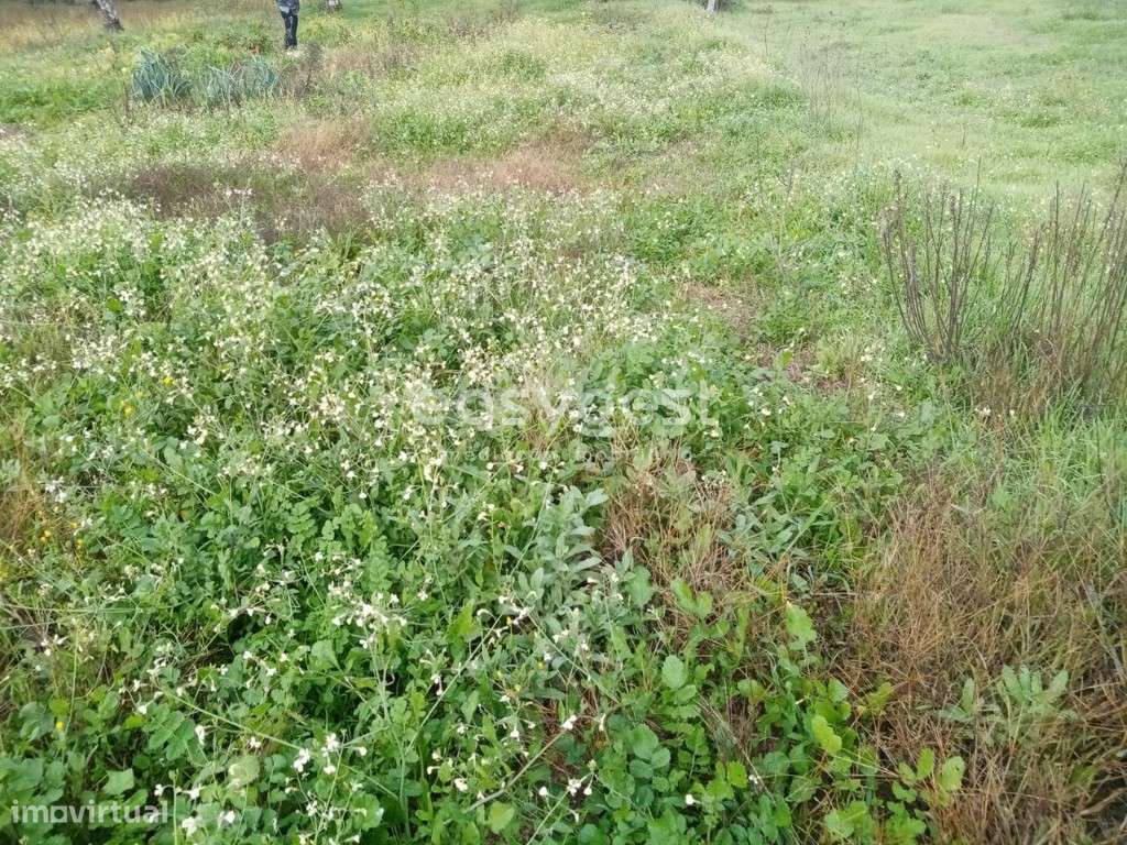 Terreno junto a ribeira, vista para a cascata em Povoa Rio de Moinhos - Grande imagem: 2/13