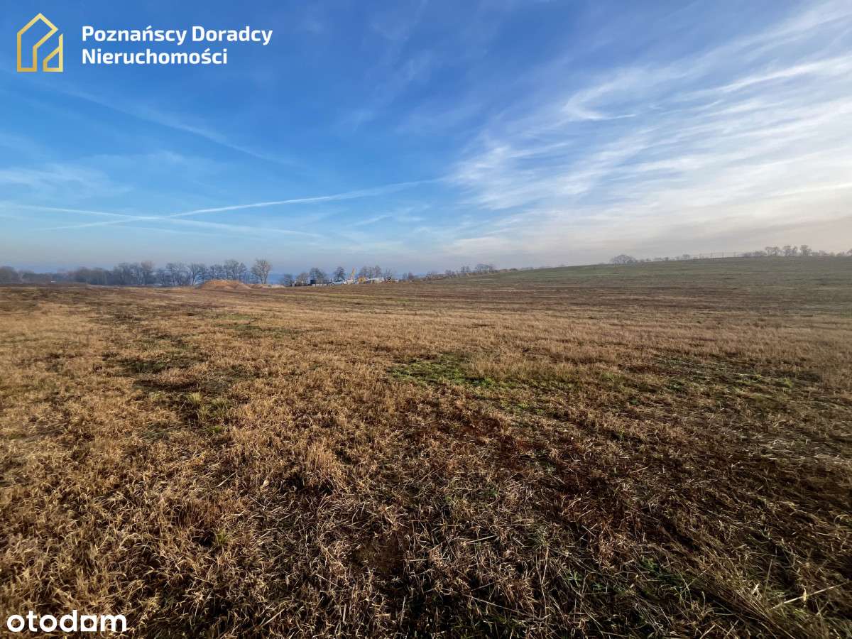 Działka nad jez. Lubikowskim możliwość podzielenia - Pełny obrazek: 4/9