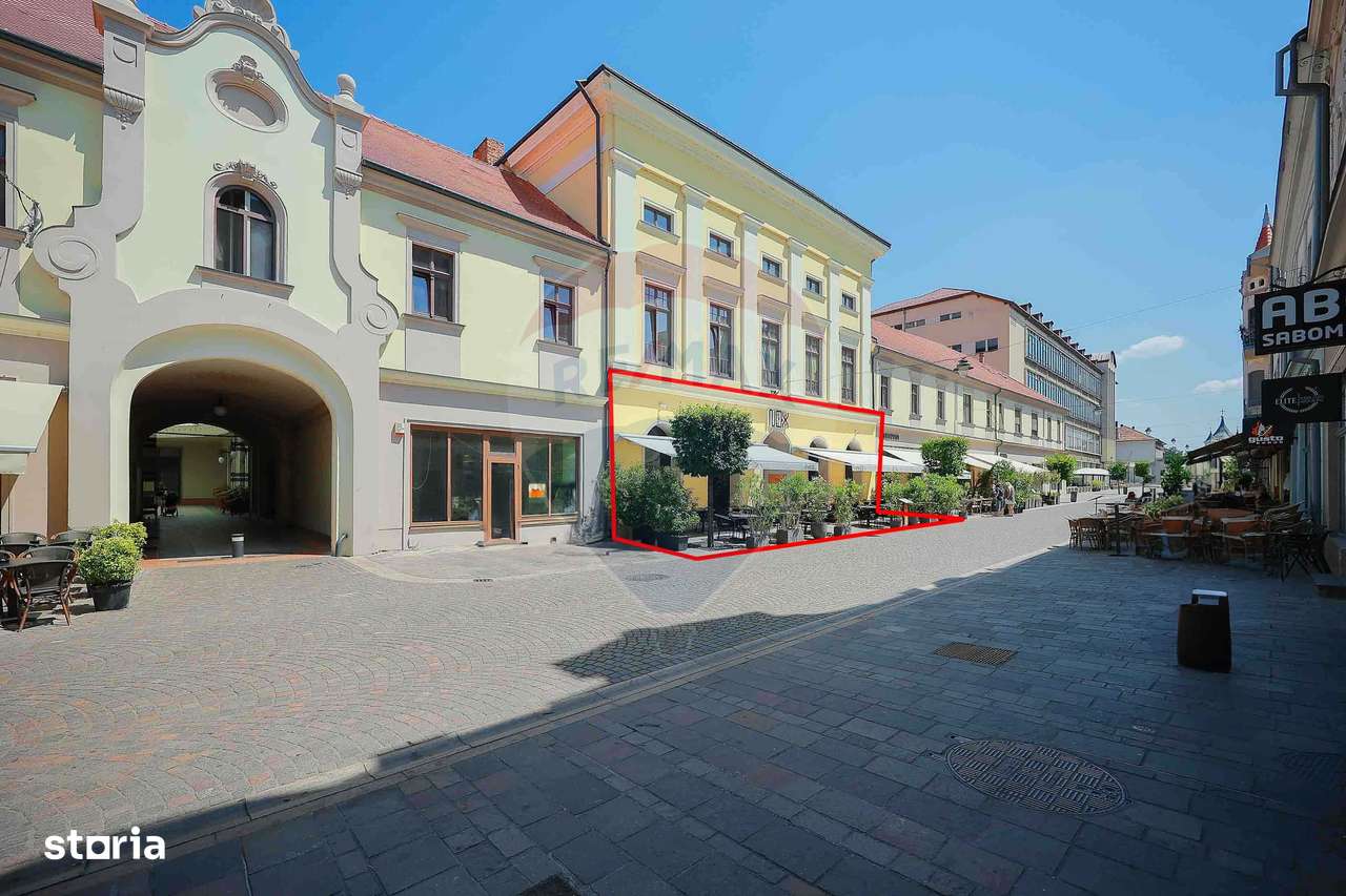 De vânzare — Spațiu comercial parter 409 mp, Vasile Alecsandri - Imagine principală: 3/20