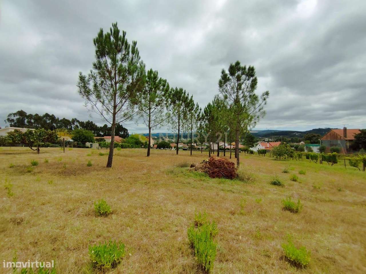 Terreno com 2120m2 Construtível em Pombal - Grande imagem: 3/3