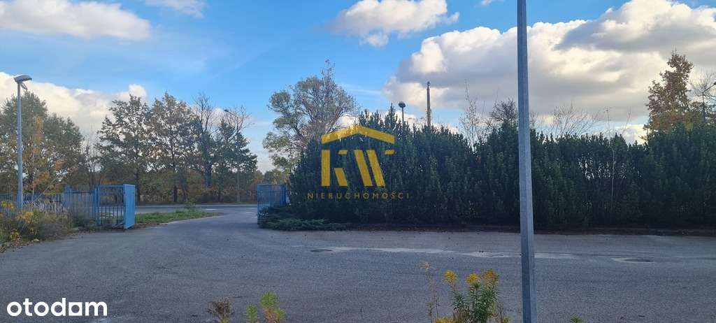 Przestrzeń z biurami oraz salą sprzedażową - Pełny obrazek: 5/15