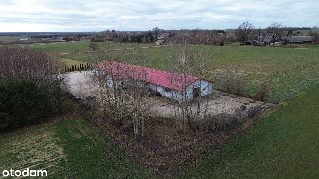 Profesjonala Hala sprzedaż/wynajem Dubicze osoczne - Pełny obrazek: 4/20