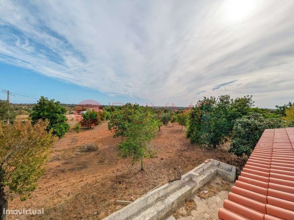 Moradia Rústica T6 com 5 Hectares em Tunes, Silves-38