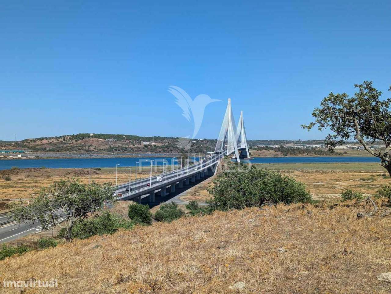 Terreno à beira do Guadiana, com 25ha, com projecto de hotel - Grande imagem: 5/29