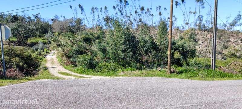 Quinta com cerca de 6000m2 próximo da barragem de castelo bode. - Grande imagem: 4/12