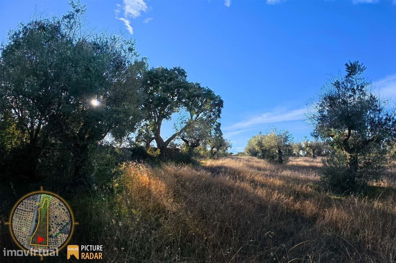 Terreno Plano 6.700m² c/ Vistas Panorâmicas – Salgueiro do Campo-20