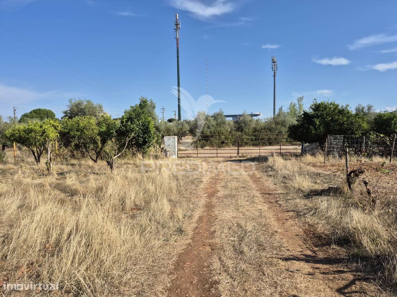 Terreno Rustico - Grande imagem: 4/39