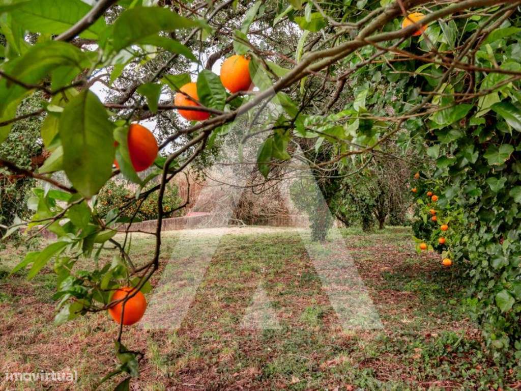 Lote de Terreno para construção de moradia na Sra. Do Monte - Salreu - Grande imagem: 4/12