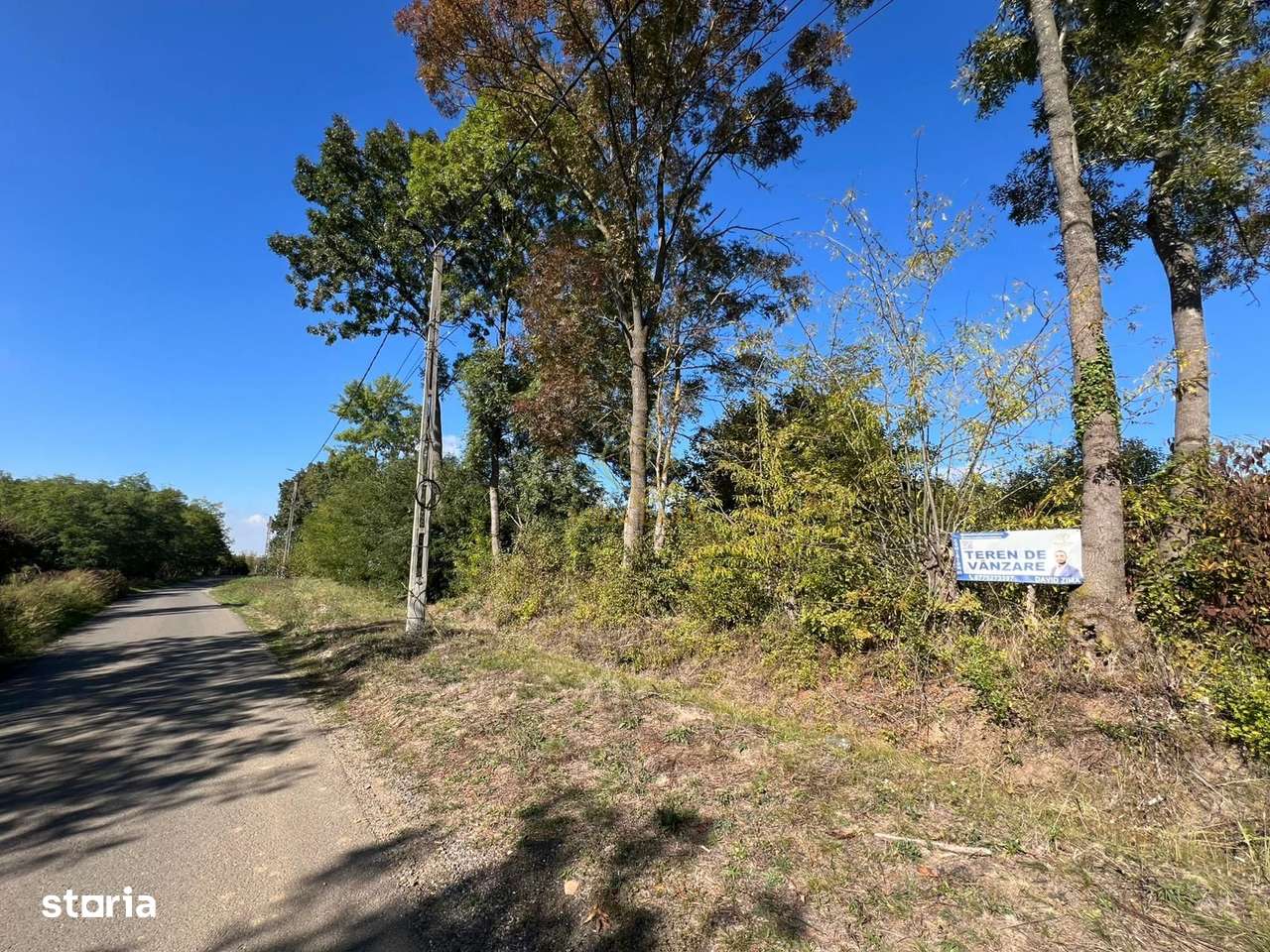 De vanzare Teren Intravilan Viile Satu Mare 2812MP/Dublu Front Stradal-6