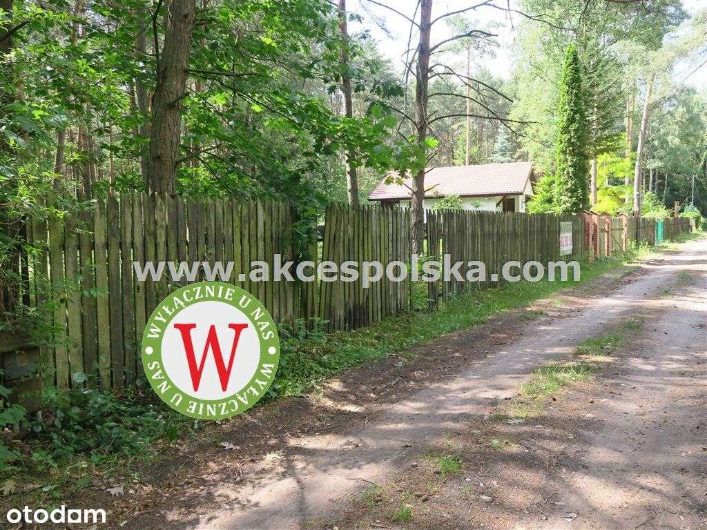 działka z aktualną Wz i starodrzewem-0