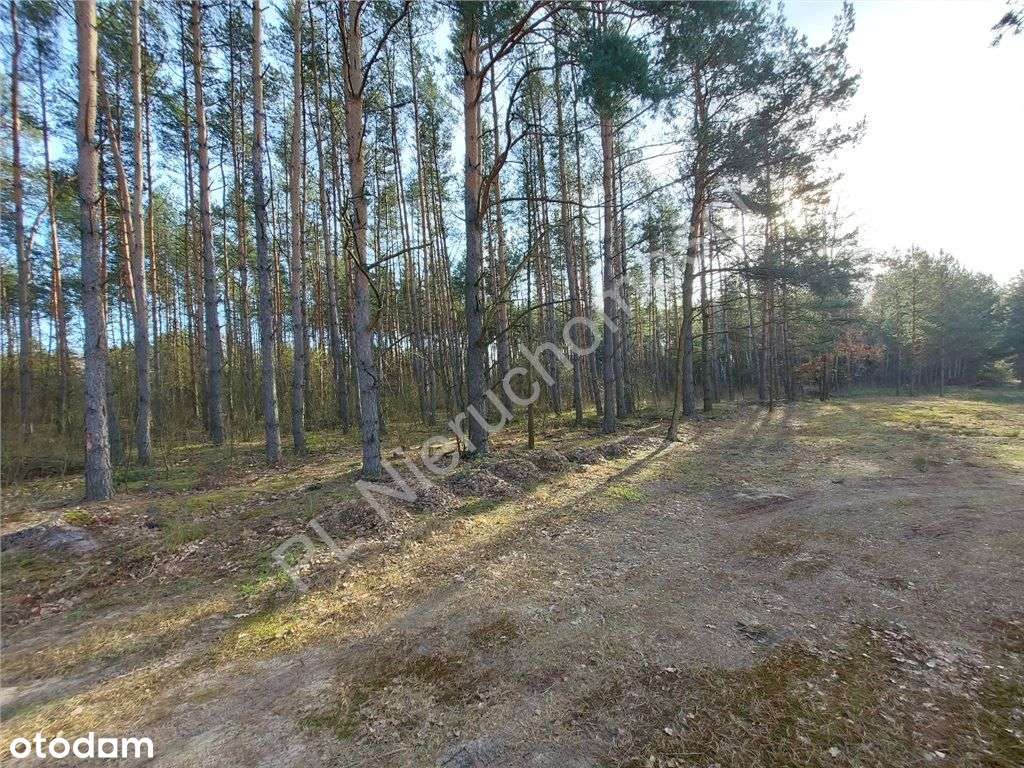 Ostatnia - Piękna Działka W Dobrej Cenie-15