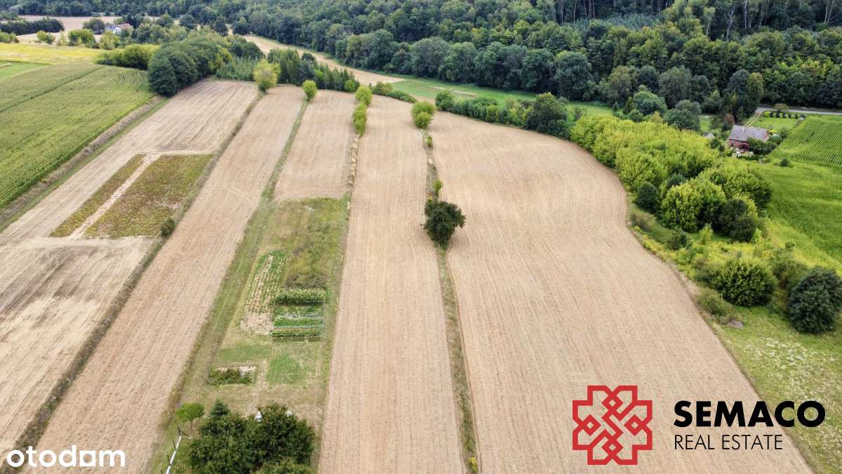 Działka budowlano-rolna / 25 arów budowlane - Pełny obrazek: 5/10