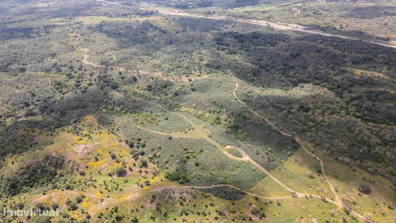 Terreno Rústico 5.7 ha, Santa Cruz, Santiago do Cacem - Grande imagem: 4/25