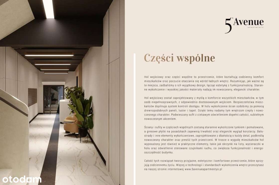 Komfortowy Apartament 2 pokojowy w CENTRUM - TERAZ tylko 14 000 zł/m2 - Pełny obrazek: 5/10