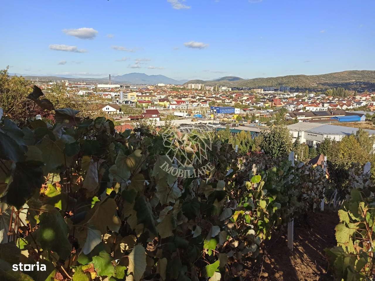 Teren intravilan 730 mp-livada-vedere panoramica-Valea Sigmirului - Imagine principală: 2/7