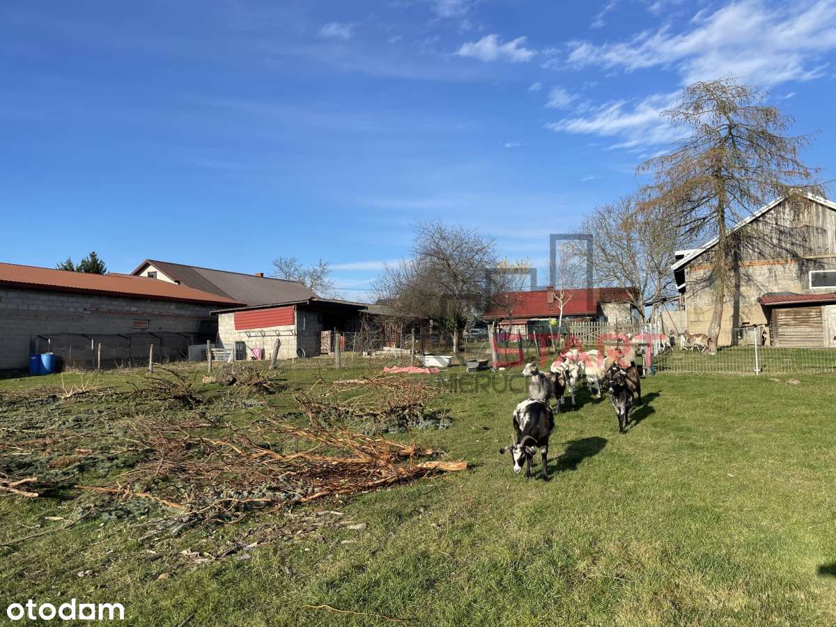 Urokliwe siedlisko w Korabiewicach-6