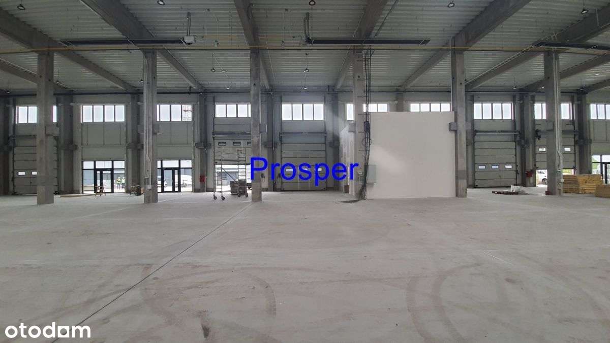 nowe hale/ brama 4,20 x4,20/ wys.8,40m - Pełny obrazek: 2/9