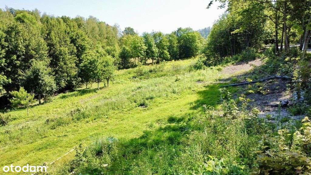 Kameralne działki w Sosnówce, okolice Kap. Św.Anny - Pełny obrazek: 5/11