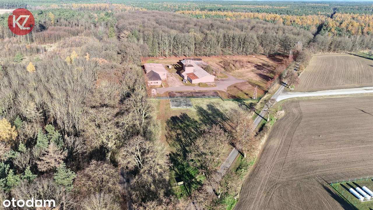 Obiekt na sprzedaż, Margonin (gw)-4