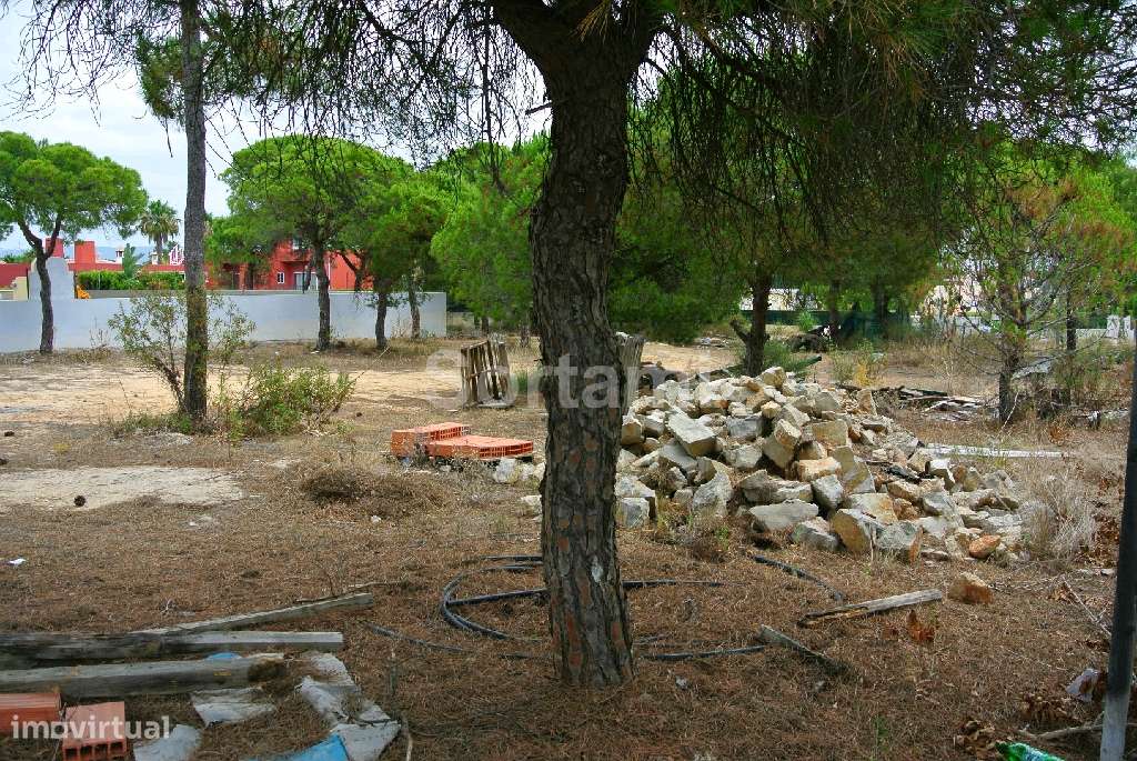 Terreno Para Construção  Venda em Almancil,Loulé - Grande imagem: 3/3