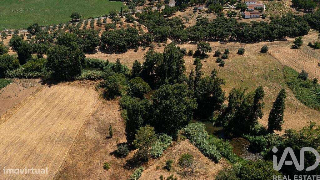 Casa / Villa T4 em Tomar (São João Baptista) e Santa Maria dos Olivais - Grande imagem: 4/30