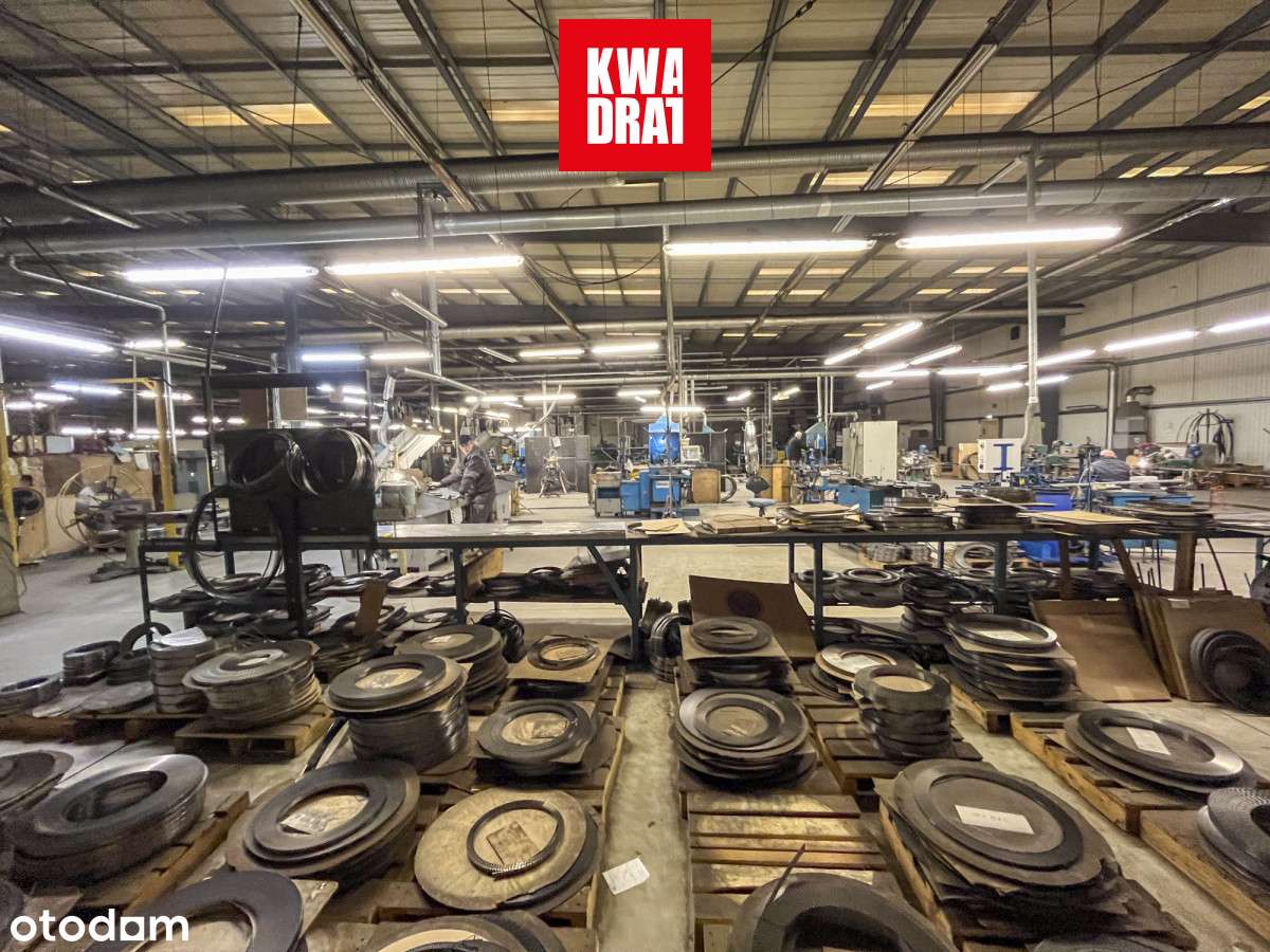 Investment Opportunity: Premium Industrial Complex-16