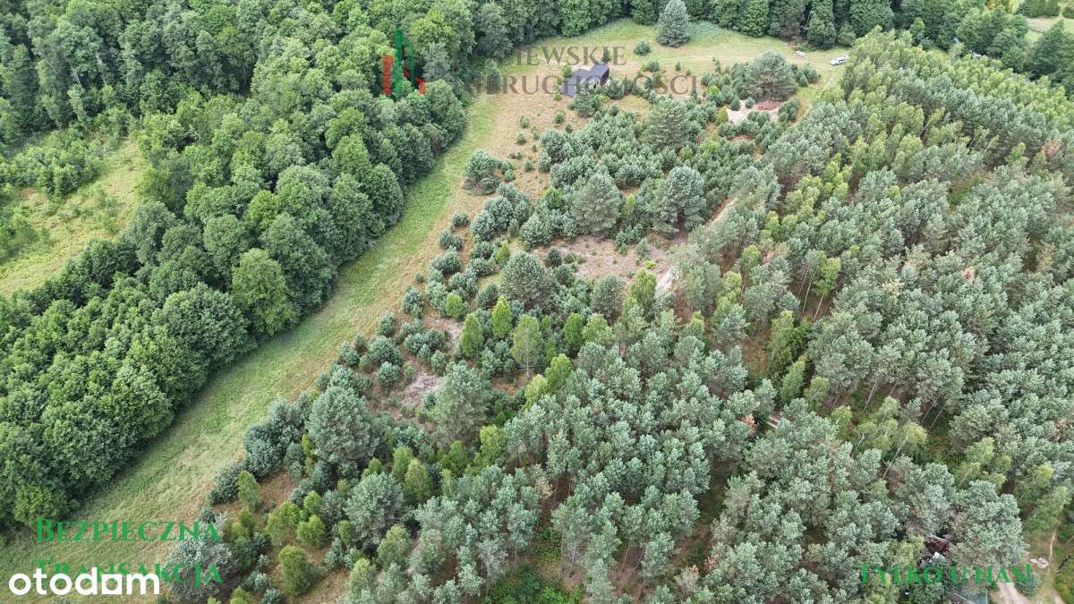 Działka w Borach Tucholskich – Zimne Zdroje - Pełny obrazek: 4/7