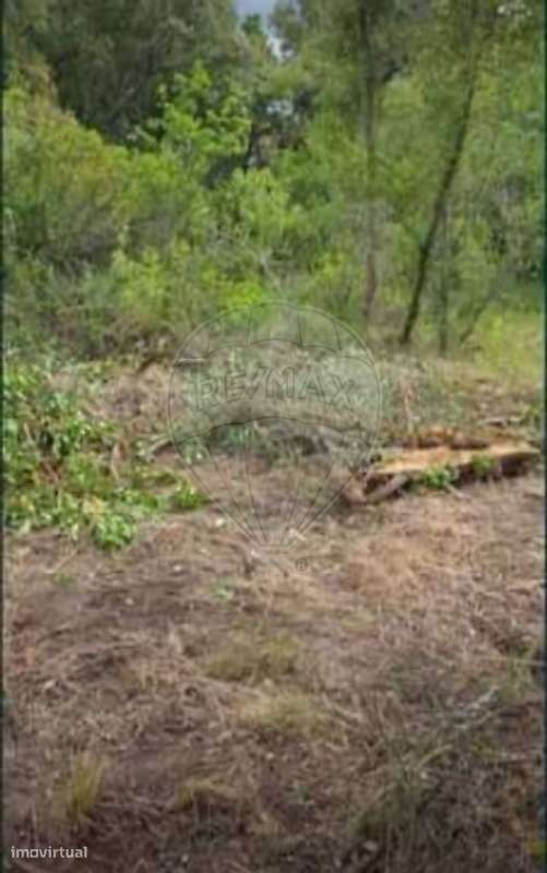 Terreno  para venda - Grande imagem: 3/8