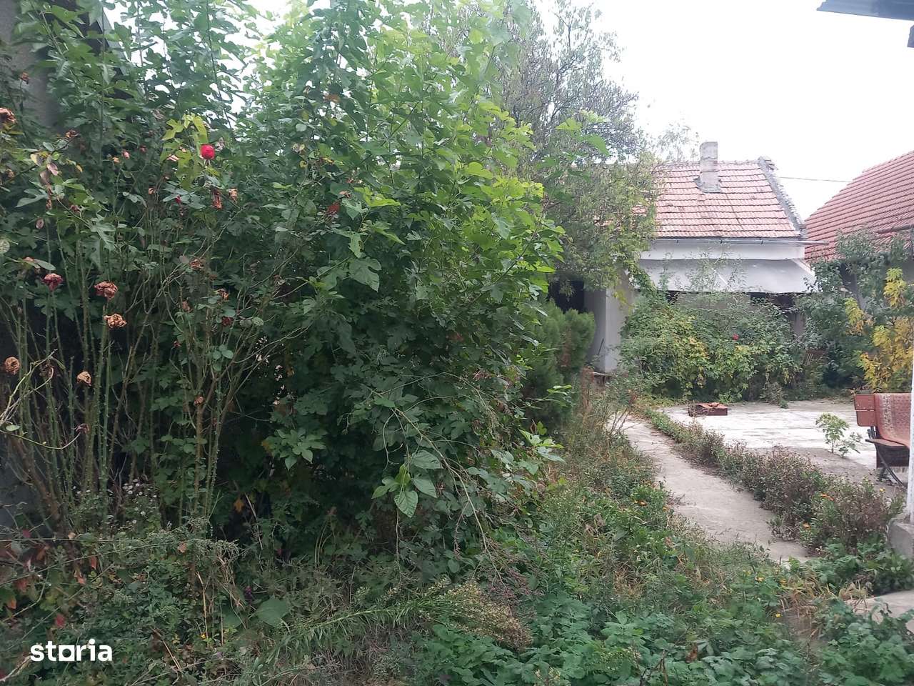 Casa de vanzare in Chisineu - Cris-9