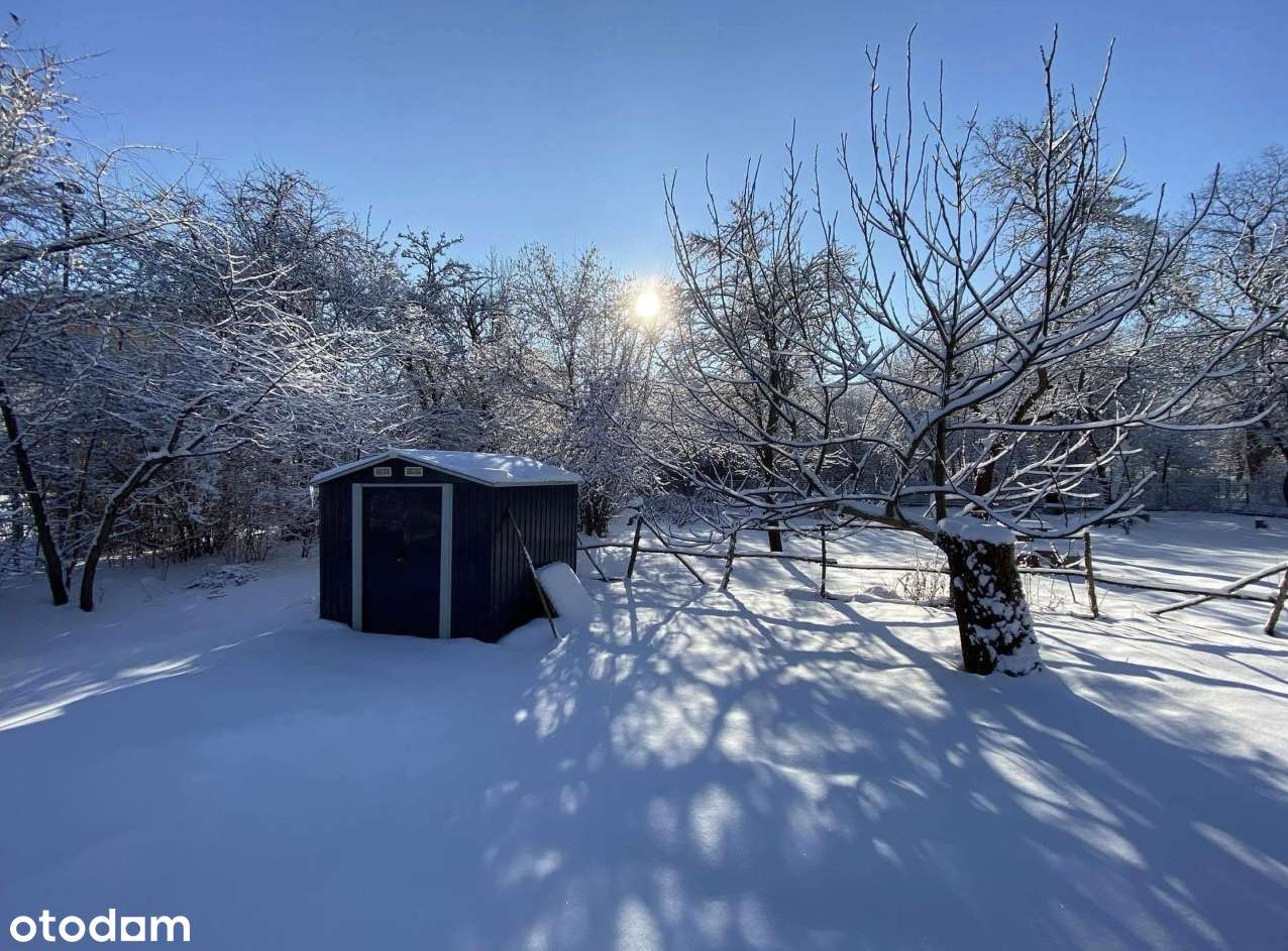 Odstąpię dzierżawę ROD Mandragora Saska Kępa. Bez prowizji.-2
