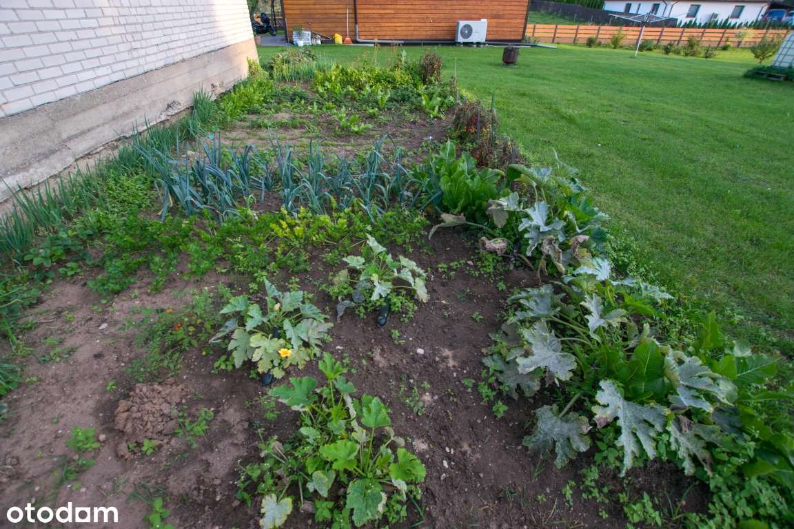 Siedlisko, dom 136m2 z bala, solidne b.gospodarcze, blisko miasta.-18